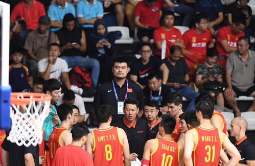 回望与前行，中国男篮的荣耀、阵痛与未来