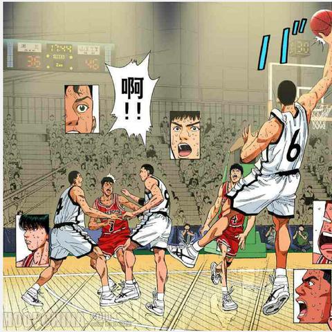 美国篮球队冠军，荣耀背后的坚守与传承